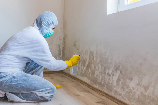 Licensed Bathroom Mold Removal service in Lawrenceville, VA - 24 Hour Mold Removal