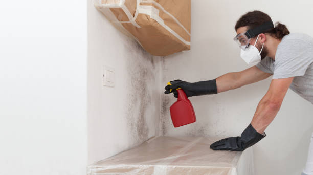 Professional Bathroom Mold Removal technician working in Lawrenceville, VA