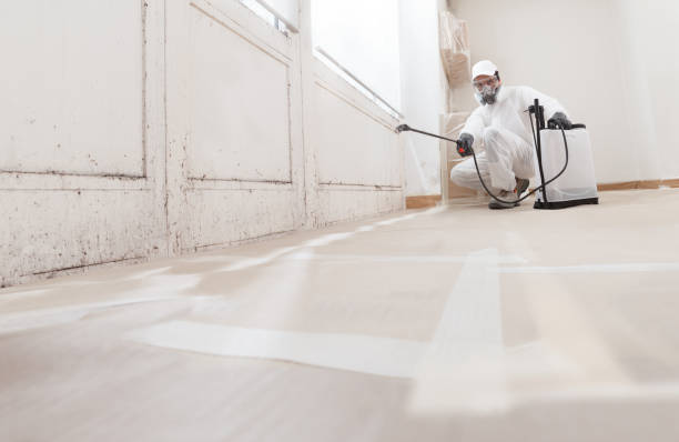24/7 Emergency Bathroom Mold Removal experts in Lawrenceville, VA