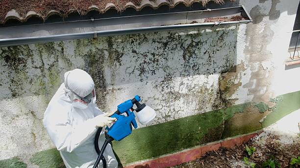 Top rated local Bathroom Mold Removal specialists in Lawrenceville, VA